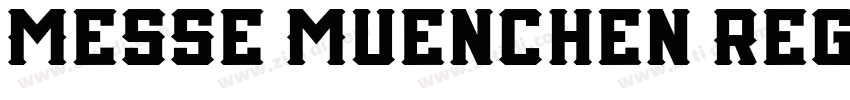 Messe Muenchen Regul字体转换